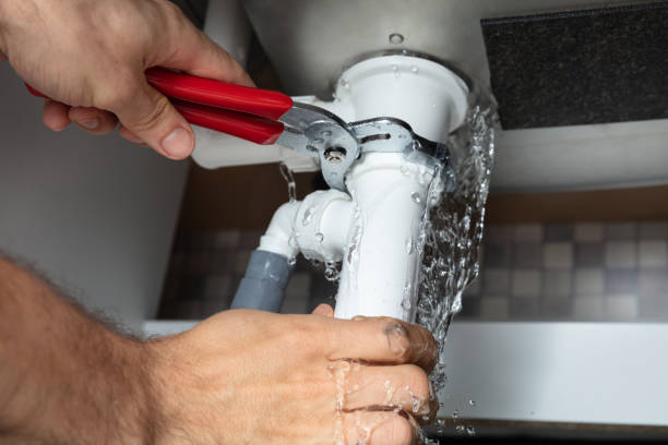 Best Mold removal after water damage  in Daingerfield, TX