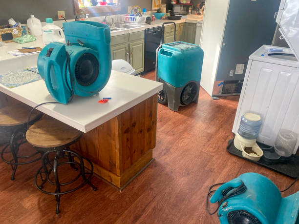 Best Carpet water damage restoration  in Daingerfield, TX