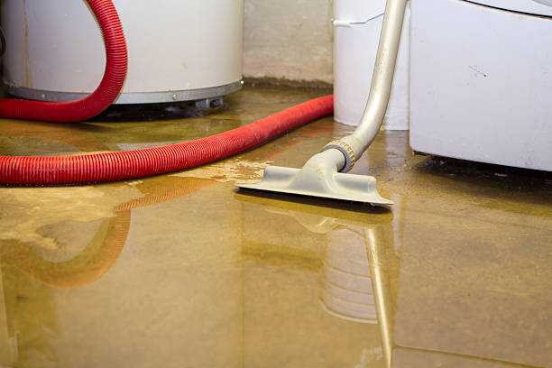 Best Water damage restoration mold remediation  in Daingerfield, TX