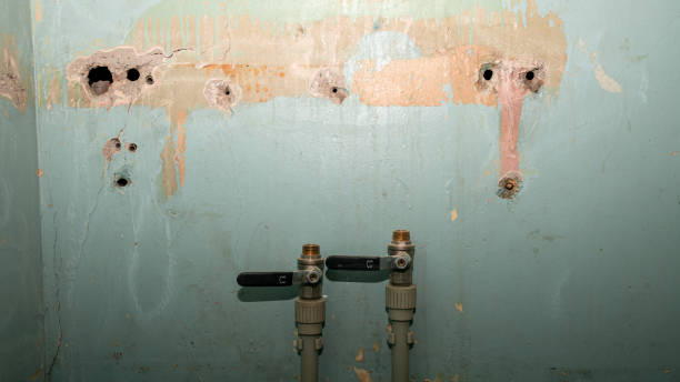 Daingerfield, TX Water damage restoration Company