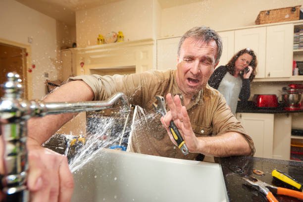 Best Professional water damage repair  in Daingerfield, TX